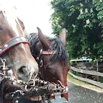 Landidyll דירה