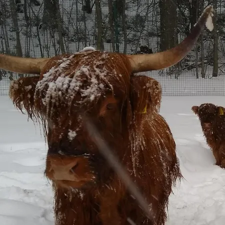 Landidyll Apartament Breitenbrunn (Saxony)