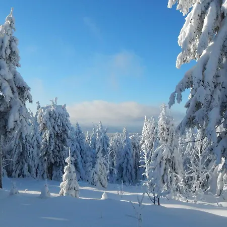 Apartament Landidyll