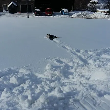Landidyll * Breitenbrunn (Saxony)