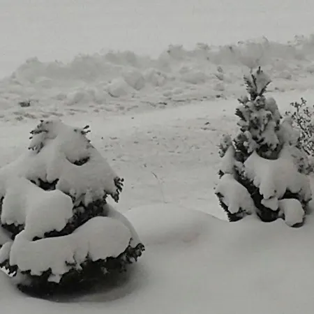 Landidyll Apartamento *