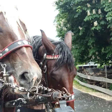 Landidyll Apartament