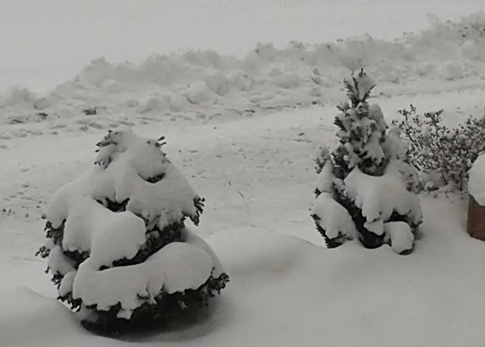 Landidyll Apartament *